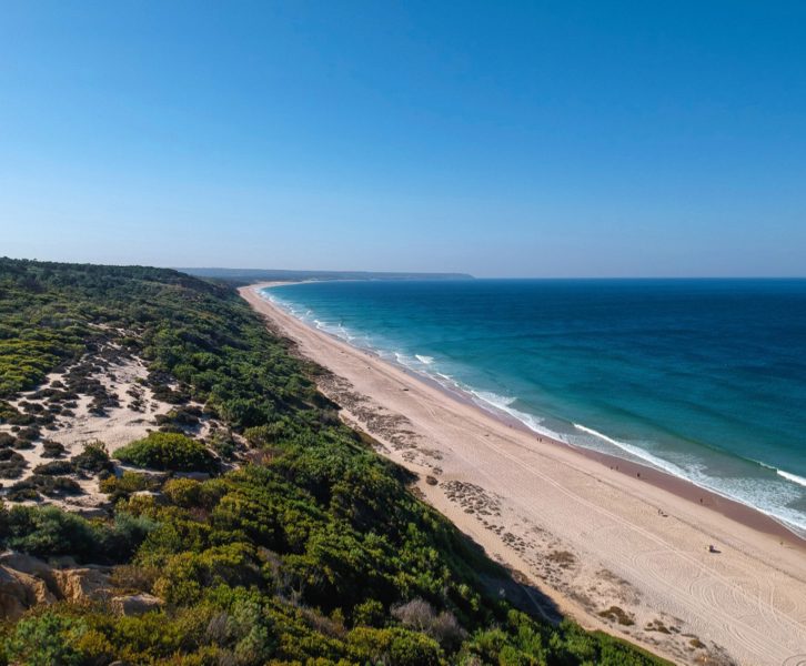 Drone footage from a beautiful beach on a summer day