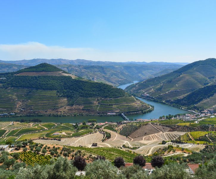 Vista magnifica sobre o Douro do miradouro de Casal de Loivos no Norte de Portugal